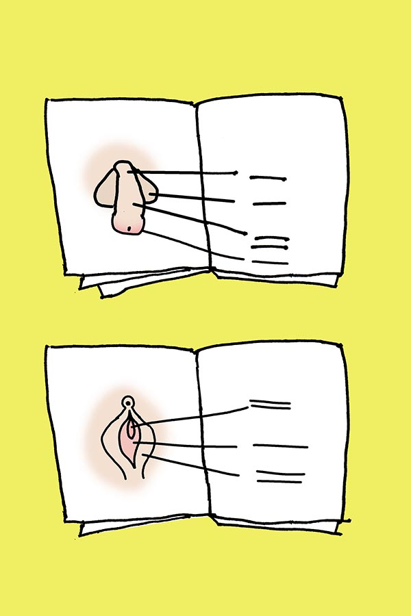 Illustration zweier aufgeschlagener Lehrbücher mit schematischen Darstellungen von Penis und Vulva